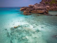 Similan Islands: beautiful beaches and world class diving